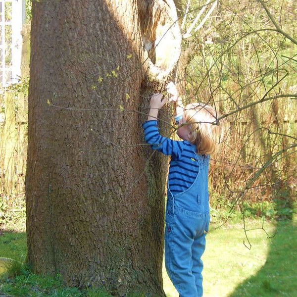 Was ist da bloß im Baum?