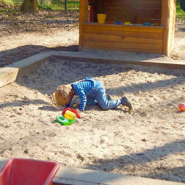 Nicht den Kopf in den Sand stecken